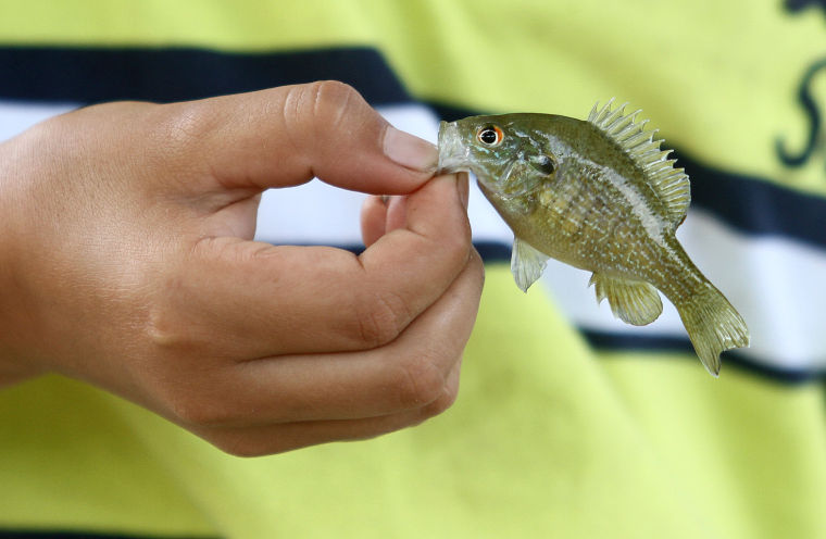 Fishing at Conder Park